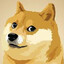 paldog