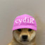 cydiR