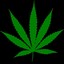 HashGun.BlackTrunk