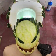 выдра avatar