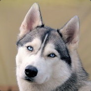 你能把我怎么样