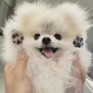 地狱唯物主义法师