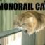 monorailcat