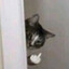 McFearful