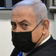 The Rabine