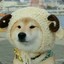 XIANG