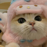 . - steam id 76561199792798859