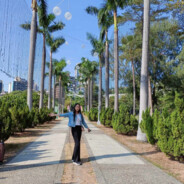 粗線條的雙子座