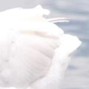 你，起来背讼全文