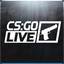 ✔Admin  csgolive.com