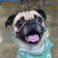 kschpuggy