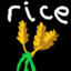 Ricemann