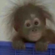 能力越小责任越小