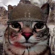 то есть моего