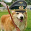 CorgiDerFührer