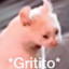 LaPulga.Asesina