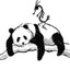 TheBritishPanda