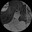 trixxy