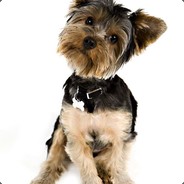 ζั͡ޓއއއAmbition™