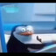 tempraegzozu