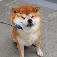 *$%+DNA/脱氧核糖^&