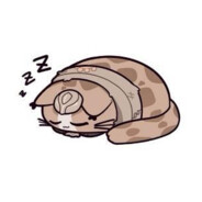 哼！遇帝不跪？