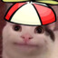 炘怡