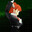 eroro