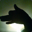 ShadowDog