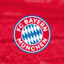 BayernX