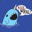 DERPING_NARWHAL