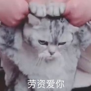 尸皮卷蛆沾脓吃