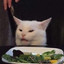 ImDinnerCat