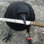 SmallCrow