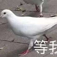 3623699323