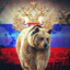 RUSSIAN BEAR