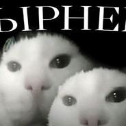 батя лаурпика