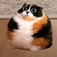 Котность