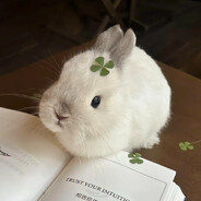 幸运小兔