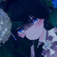 C.Flower