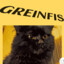 Greinfis