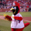 Fredbird10