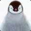 PengyFury