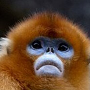 Clownhunter # General Schlüssel