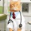 Dr. Meow M.D.