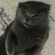 bodyan04 - steam id 76561199071211336