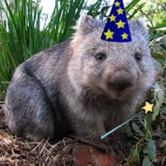 The Magic Wombat