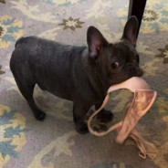 崔冬雷叫我二雷