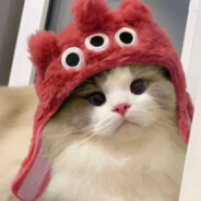 翻斗花园壮壮妈