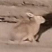 Дәрбышнский Куян